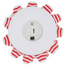 Load image into Gallery viewer, Peppermint Tree | Medium