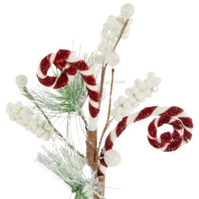 Load image into Gallery viewer, Candy Cane Berry Pick