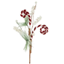 Load image into Gallery viewer, Candy Cane Berry Pick