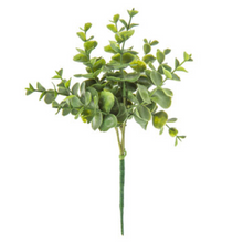 Load image into Gallery viewer, Eucalyptus Pick