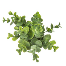 Load image into Gallery viewer, Eucalyptus Pick