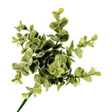 Load image into Gallery viewer, Eucalyptus Pick