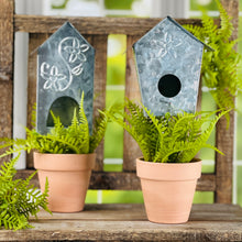 Load image into Gallery viewer, Fern Pick