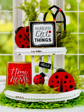 Load image into Gallery viewer, Hello Ladybug Wood Ladder