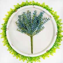 Load image into Gallery viewer, Astilbe Bush in Sky Blue