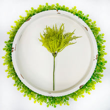 Load image into Gallery viewer, Fern Pick