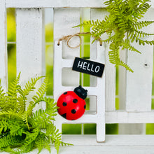 Load image into Gallery viewer, Hello Ladybug Wood Ladder