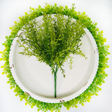 Load image into Gallery viewer, Dill Greenery Spray