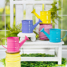 Load image into Gallery viewer, Mini Metal Watering Can