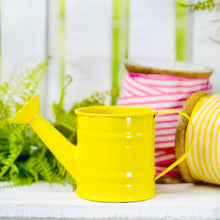 Load image into Gallery viewer, Mini Metal Watering Can