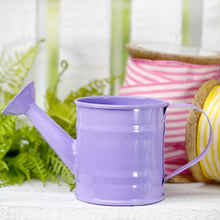 Load image into Gallery viewer, Mini Metal Watering Can