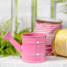 Load image into Gallery viewer, Mini Metal Watering Can