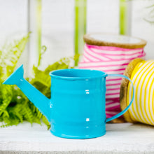 Load image into Gallery viewer, Mini Metal Watering Can