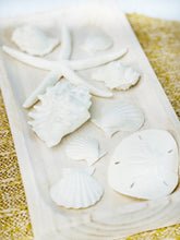 Load image into Gallery viewer, Sea Shell Bowl Filler | Set of 9