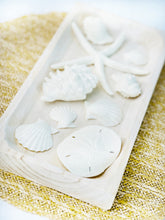 Load image into Gallery viewer, Sea Shell Bowl Filler | Set of 9