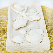 Load image into Gallery viewer, Sea Shell Bowl Filler | Set of 9