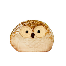 Load image into Gallery viewer, Mr Hoot Owl