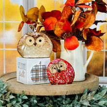 Load image into Gallery viewer, Mr Hoot Owl
