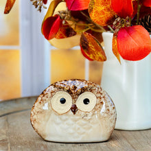Load image into Gallery viewer, Mr Hoot Owl