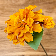 Load image into Gallery viewer, Fall Mum Pick