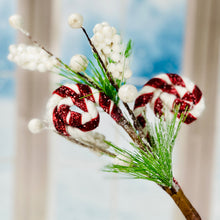 Load image into Gallery viewer, Candy Cane Berry Pick