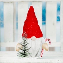 Load image into Gallery viewer, Winter Gnome Sitters