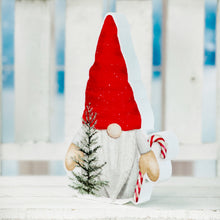Load image into Gallery viewer, Winter Gnome Sitters