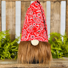 Load image into Gallery viewer, Handmade Gnomes