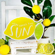 Load image into Gallery viewer, Chunky Lemon Sitter - Asst.