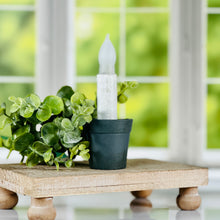 Load image into Gallery viewer, Flower Pot Taper Holder