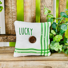 Load image into Gallery viewer, Lucky Mini Pillow