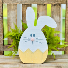 Load image into Gallery viewer, Bitsy Bunny