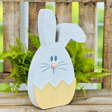 Load image into Gallery viewer, Bitsy Bunny