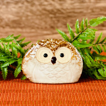 Load image into Gallery viewer, Mr Hoot Owl