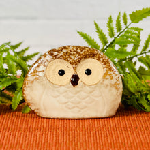 Load image into Gallery viewer, Mr Hoot Owl