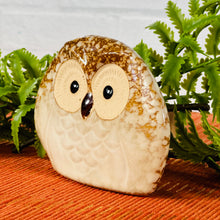 Load image into Gallery viewer, Mr Hoot Owl