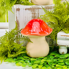 Load image into Gallery viewer, Glazed Ceramic Mushrooms