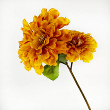 Load image into Gallery viewer, Fall Mum Pick
