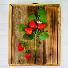 Load image into Gallery viewer, Fresh Strawberry Pick