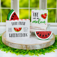 Load image into Gallery viewer, One In A Melon Block Sign
