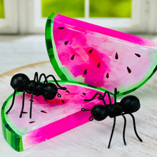 Load image into Gallery viewer, Pink Watermelon Cutout