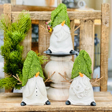 Load image into Gallery viewer, Bearded Snowman Gnomes