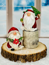 Load image into Gallery viewer, Santa Gnome with Tree