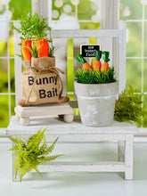Load image into Gallery viewer, Bunny Bait