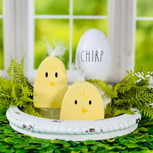 Load image into Gallery viewer, Baby Chicks | Set of 2