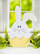 Load image into Gallery viewer, Bitsy Bunny