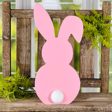 Load image into Gallery viewer, Peter Cottontail Family