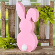 Load image into Gallery viewer, Peter Cottontail Family