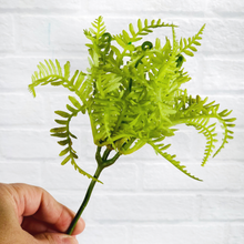 Load image into Gallery viewer, Fern Pick