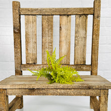 Load image into Gallery viewer, Fern Pick